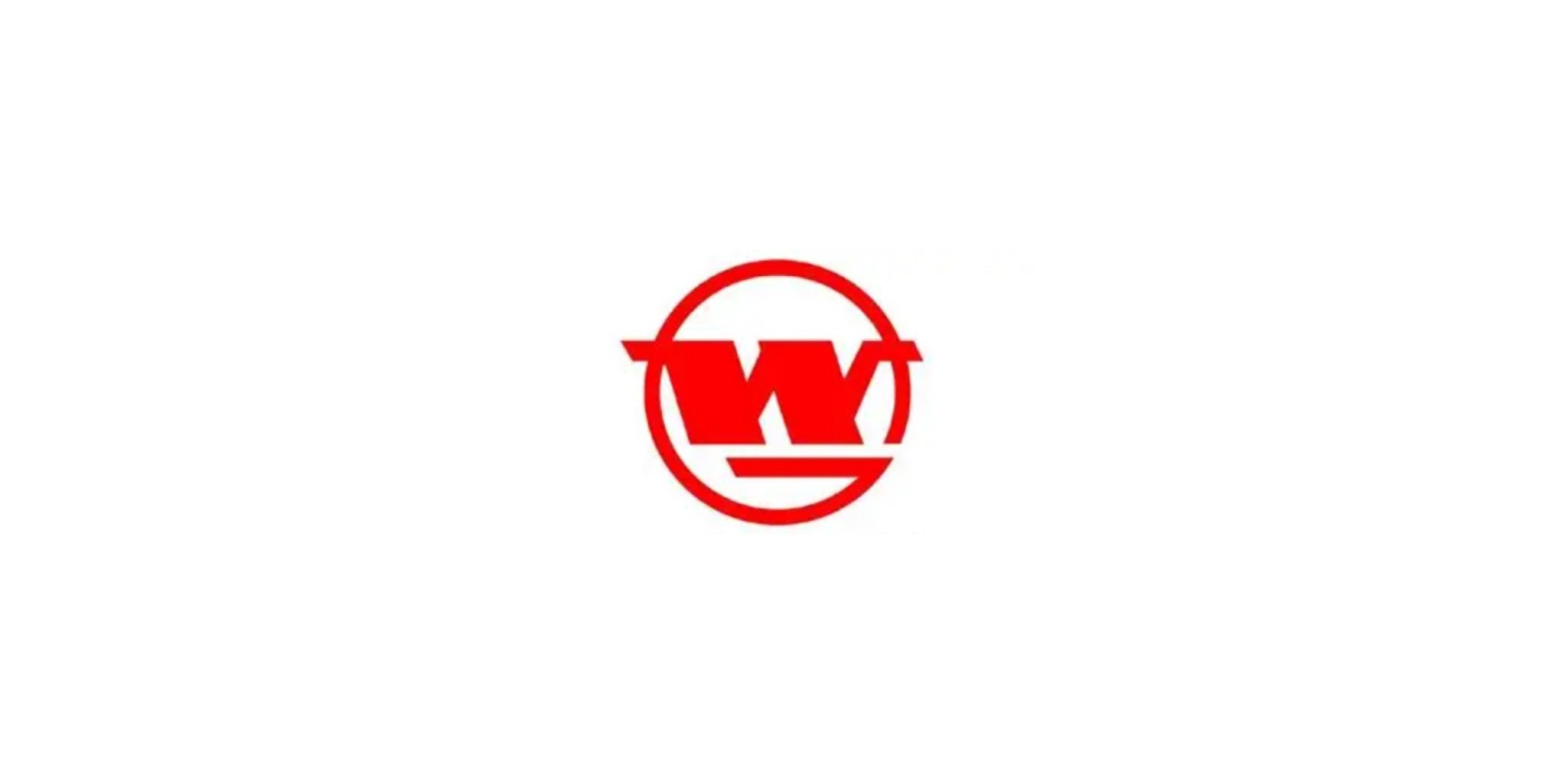 Wuhan Iron and Steel Company